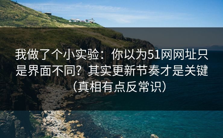 我做了个小实验：你以为51网网址只是界面不同？其实更新节奏才是关键（真相有点反常识）